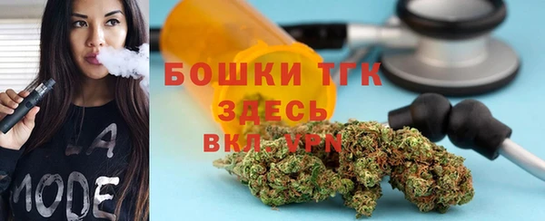 дурь Ельня