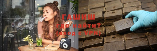 индика Елизово