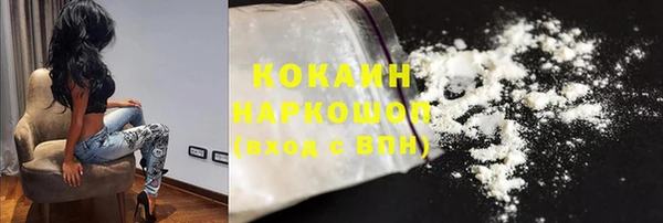 индика Елизово