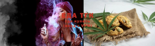дурь Ельня