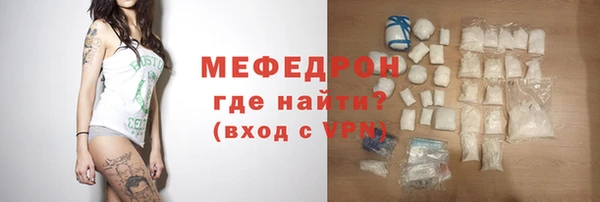 индика Елизово