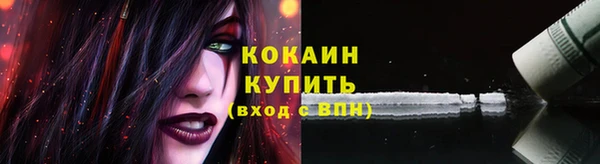 индика Елизово