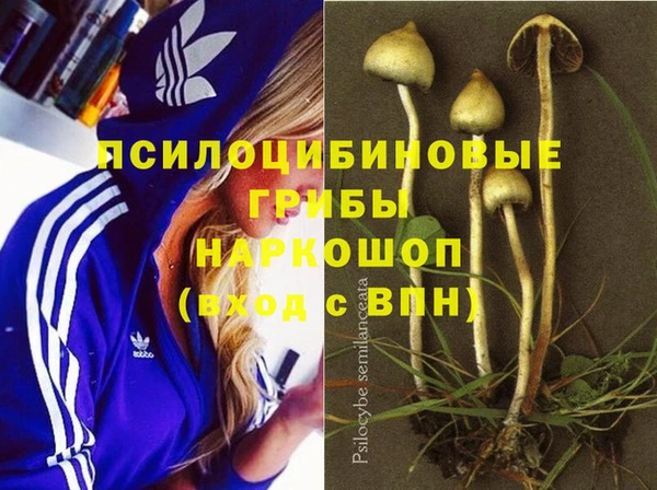 дурь Ельня