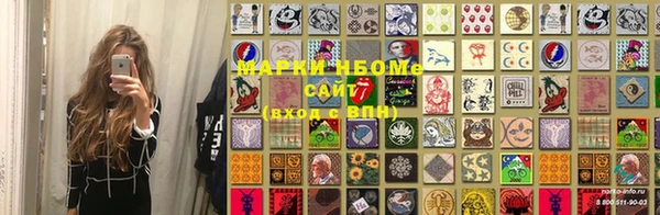 индика Елизово