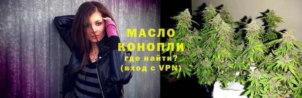 индика Елизово