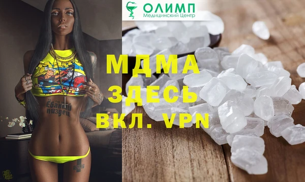 индика Елизово