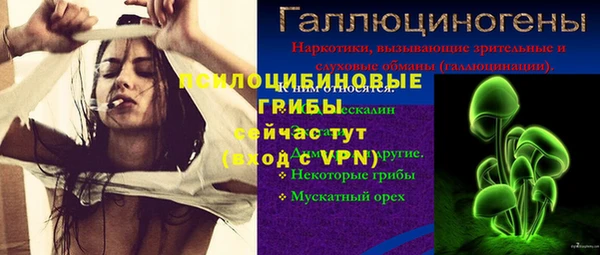 дурь Ельня