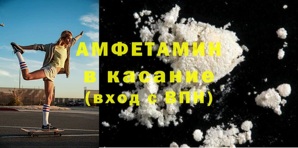 индика Елизово