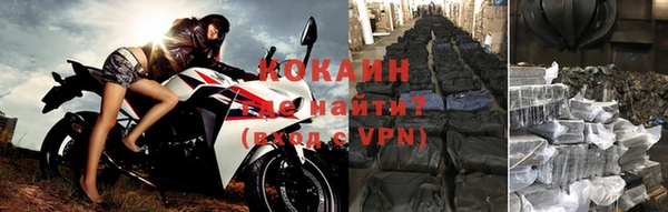 дурь Ельня