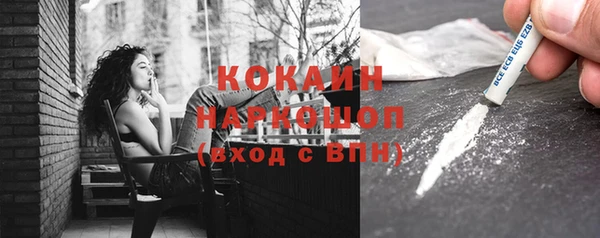 индика Елизово