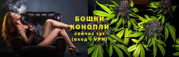 дурь Ельня