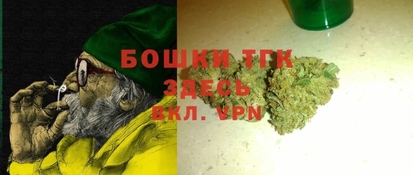 индика Елизово