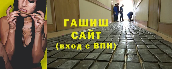 индика Елизово