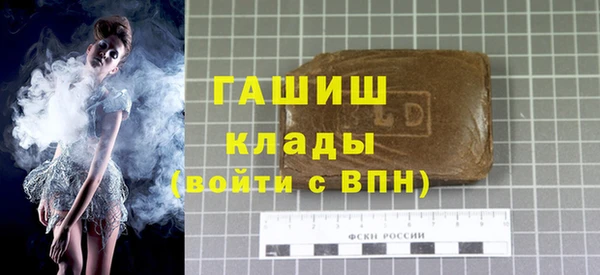 индика Елизово