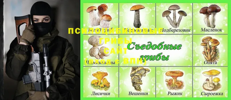 Псилоцибиновые грибы Magic Shrooms Зверево